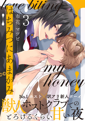 はちみつにあまがみ 分冊版 3