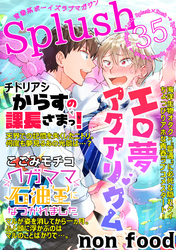 Splush vol.35　青春系ボーイズラブマガジン