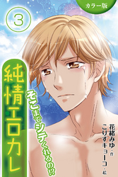 [カラー版]純情エロカレ～そこまでシテくれるの！？ 3巻〈最後のミダラな汁〉