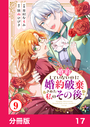 婚約していないのに婚約破棄された私のその後【分冊版】17