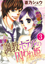 調教ホテルの囚われ姫（分冊版）偽りの幸せ　【第3話】