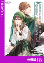 異世界から飛ばされて来た鑑定娘は、占いで生計を立てる【分冊版】５
