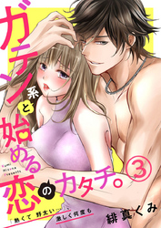 ガテン系と始める恋のカタチ。～「熱くて野太い…」、激しく何度も～3