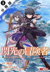閃光の冒険者（コミック） 分冊版 3