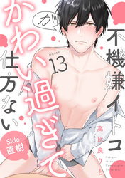 不機嫌イトコがかわい過ぎて仕方ない(13) side直樹