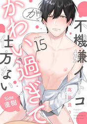 不機嫌イトコがかわい過ぎて仕方ない(15) side直樹