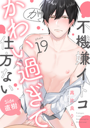 不機嫌イトコがかわい過ぎて仕方ない(19) side直樹