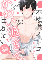 不機嫌イトコがかわい過ぎて仕方ない(20) side直樹